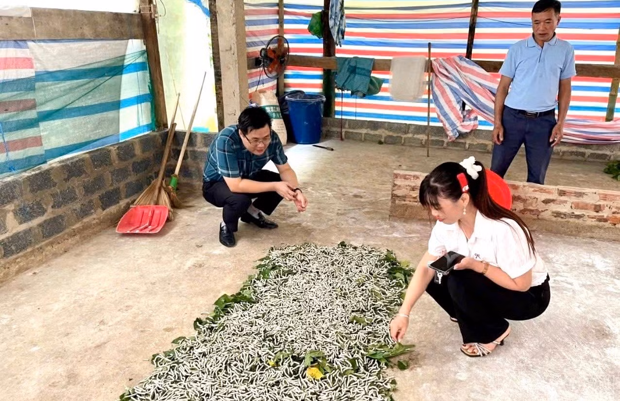 baolaocai-br_z7546042275055-8bf2235787ff2ad475e83223a5dac02f.jpg
