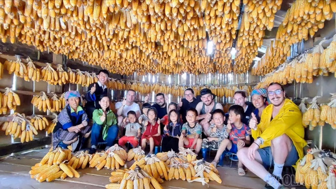 baolaocai-br_z7374685116075-316499e61bbc12a0be0800fe4710c285-7894.jpg