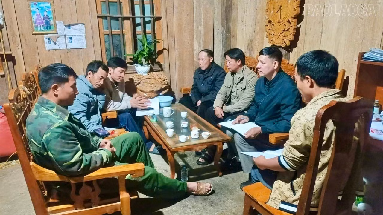 baolaocai-tr_z7356778534641-40500698cfec4c78cd1d5f4542118998-8800.jpg