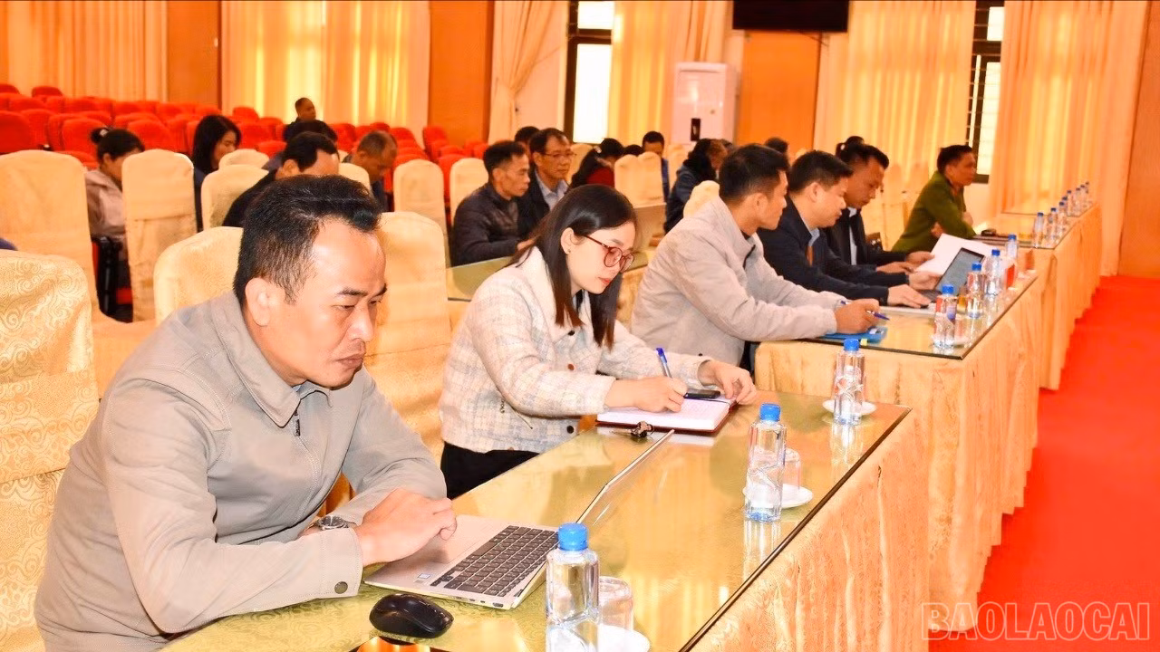baolaocai-br_z7266830899457-edf958ccd0427c866e1e9f7f9d59639d-8832.jpg