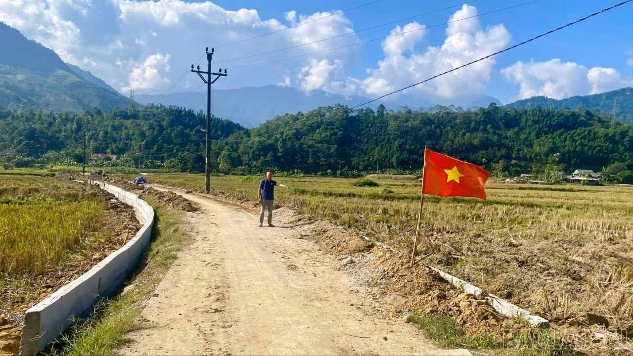 baolaocai-br_z7297349594871-8793178b5e8e6b5b38e53630628ad4ed-1622.jpg