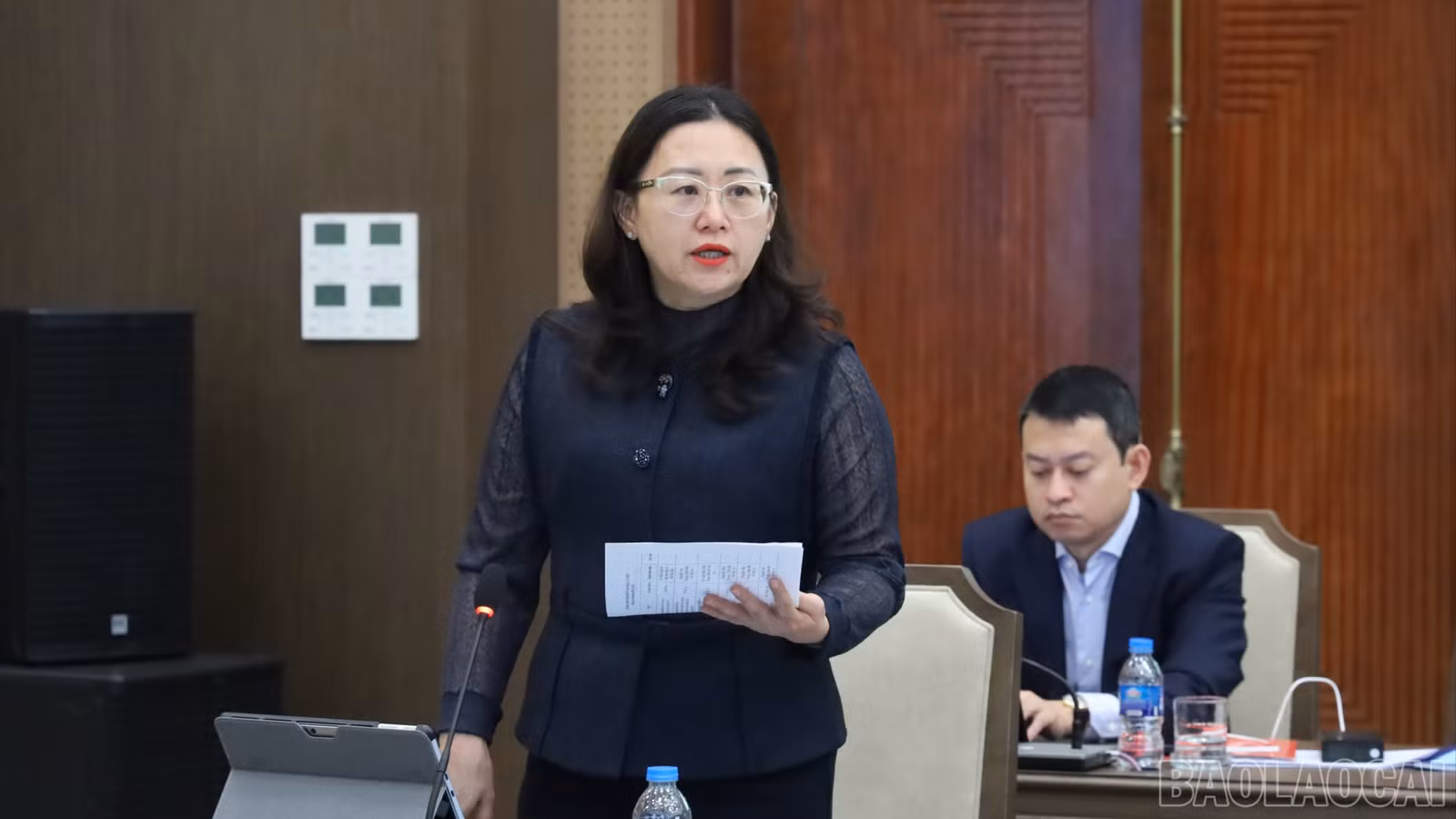 baolaocai-br_img-0324-9990.jpg