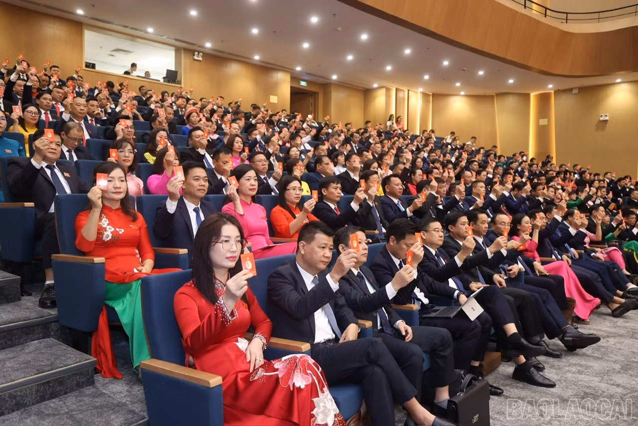 baolaocai-br_z7065153803825-89622250eb4776b82221dd807a9603d8.jpg
