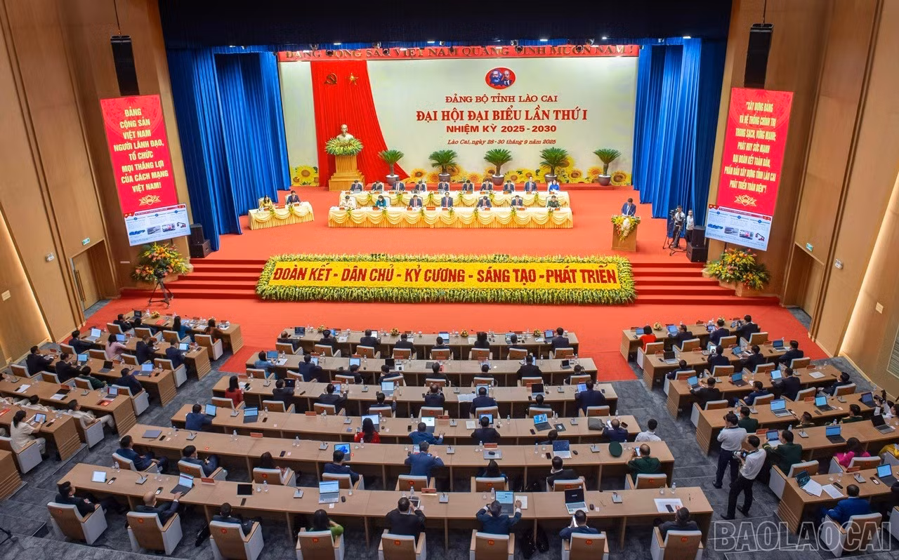 baolaocai-br_z7065152720488-d45546afd255de6173d894baf09044a2.jpg