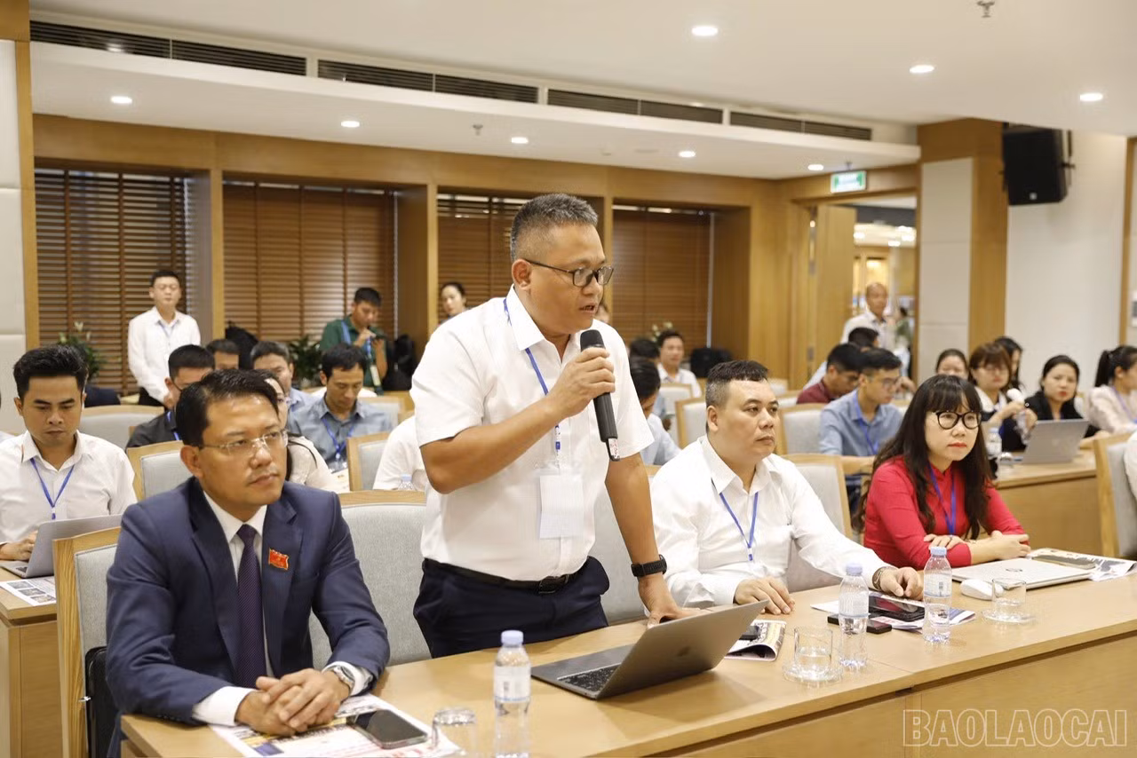 baolaocai-br_z7065112398992-32efe3998cba875ee86dcb0db0f914ca.jpg