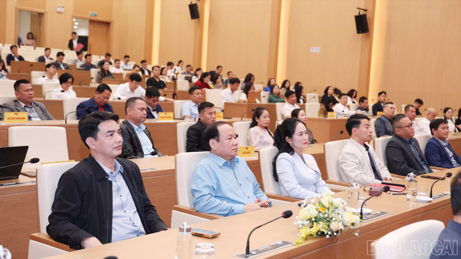 baolaocai-br_img-9738-1-9471.jpg