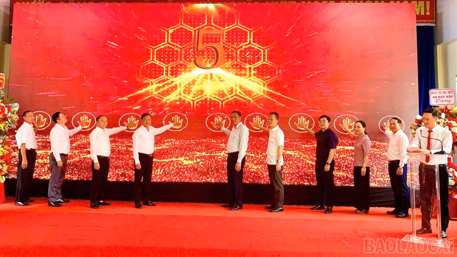 baolaocai-br_aans-nut-8819.jpg