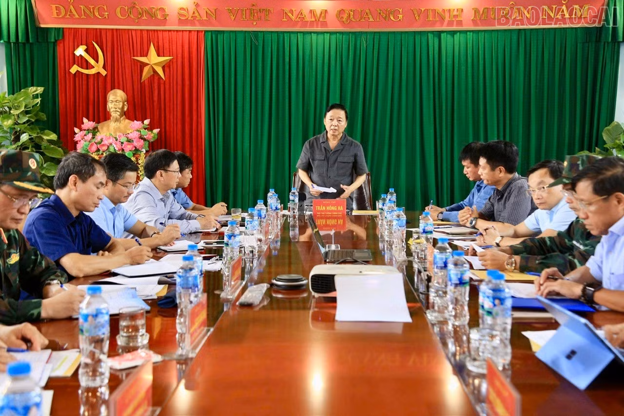 baolaocai-tr_z7084181477232-85d34094f061f46acc2567f0022d39d7.jpg