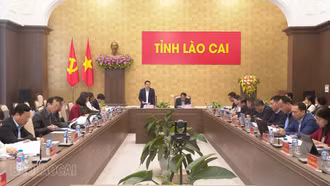 Họp Ban Chỉ đạo tỉnh về hoàn thiện thể chế, pháp luật