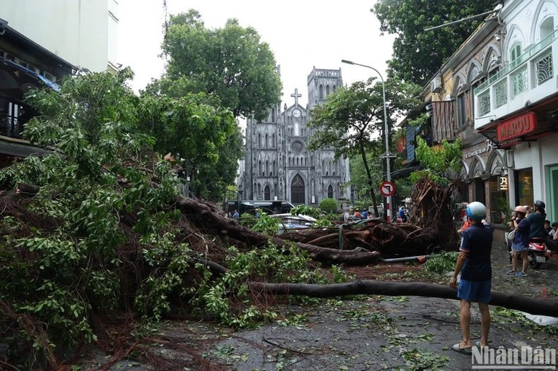 Việt Nam chịu ảnh hưởng nặng nề bởi siêu bão Yagi.