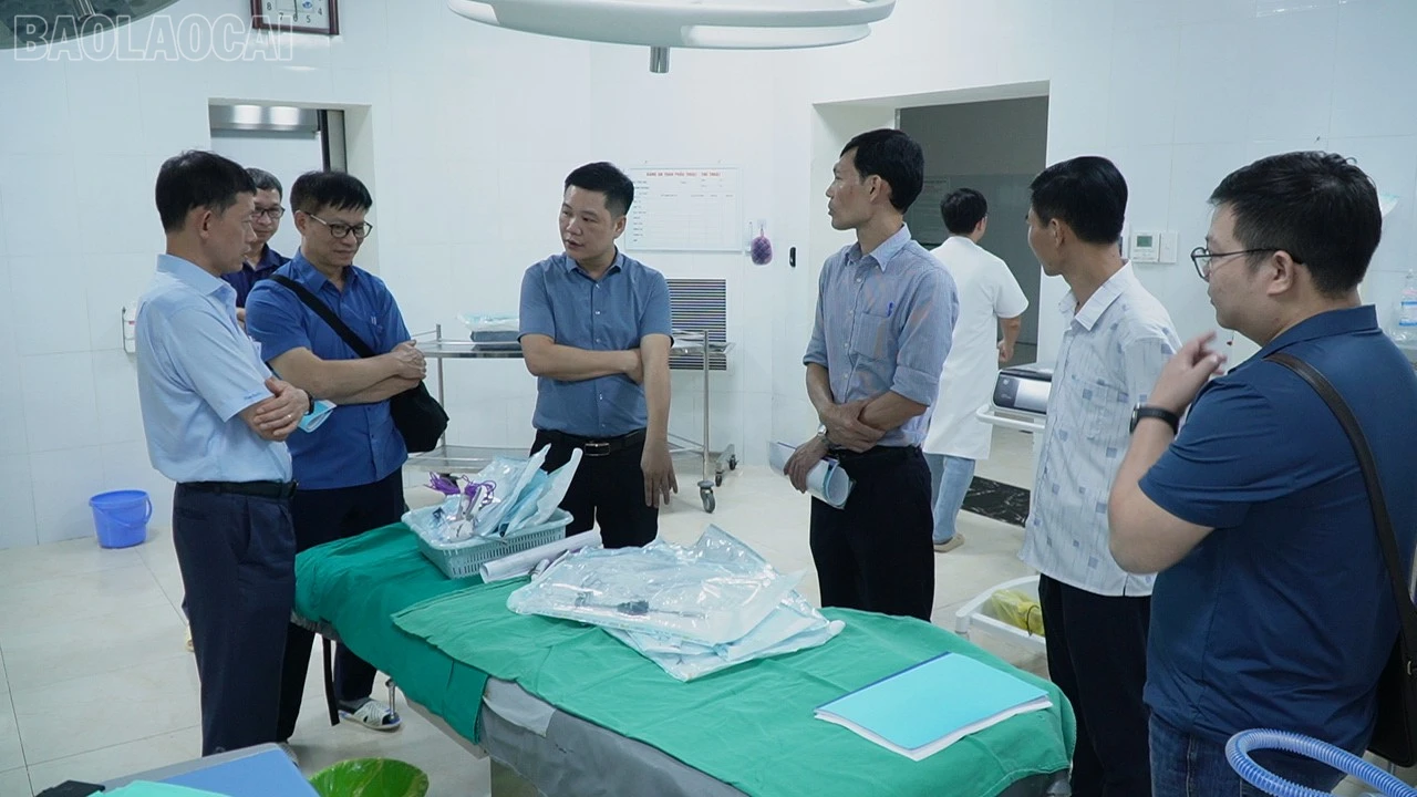 baolaocai-tl_c0805t01.jpg