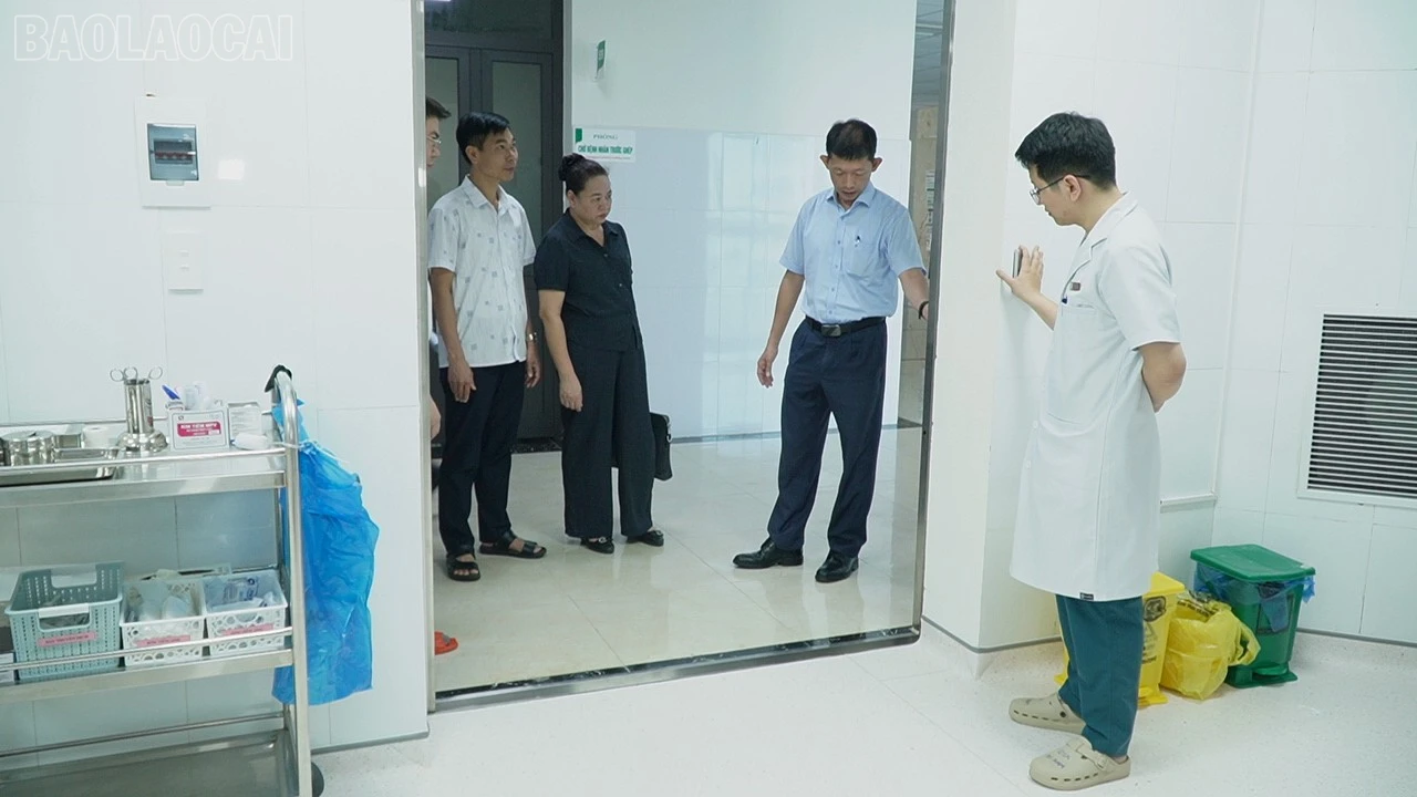 baolaocai-tl_c0790t01.jpg