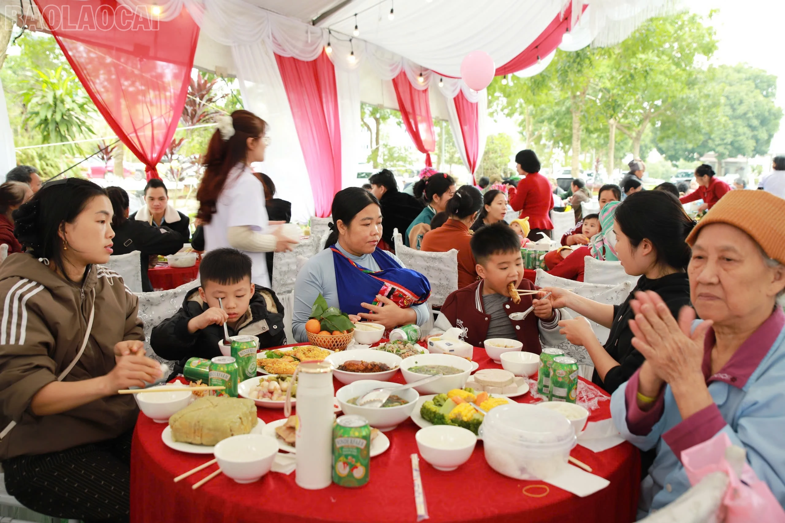 baolaocai-tl_z7496789773637-a19bf41e44720c57b7a529b1672c78dd.jpg