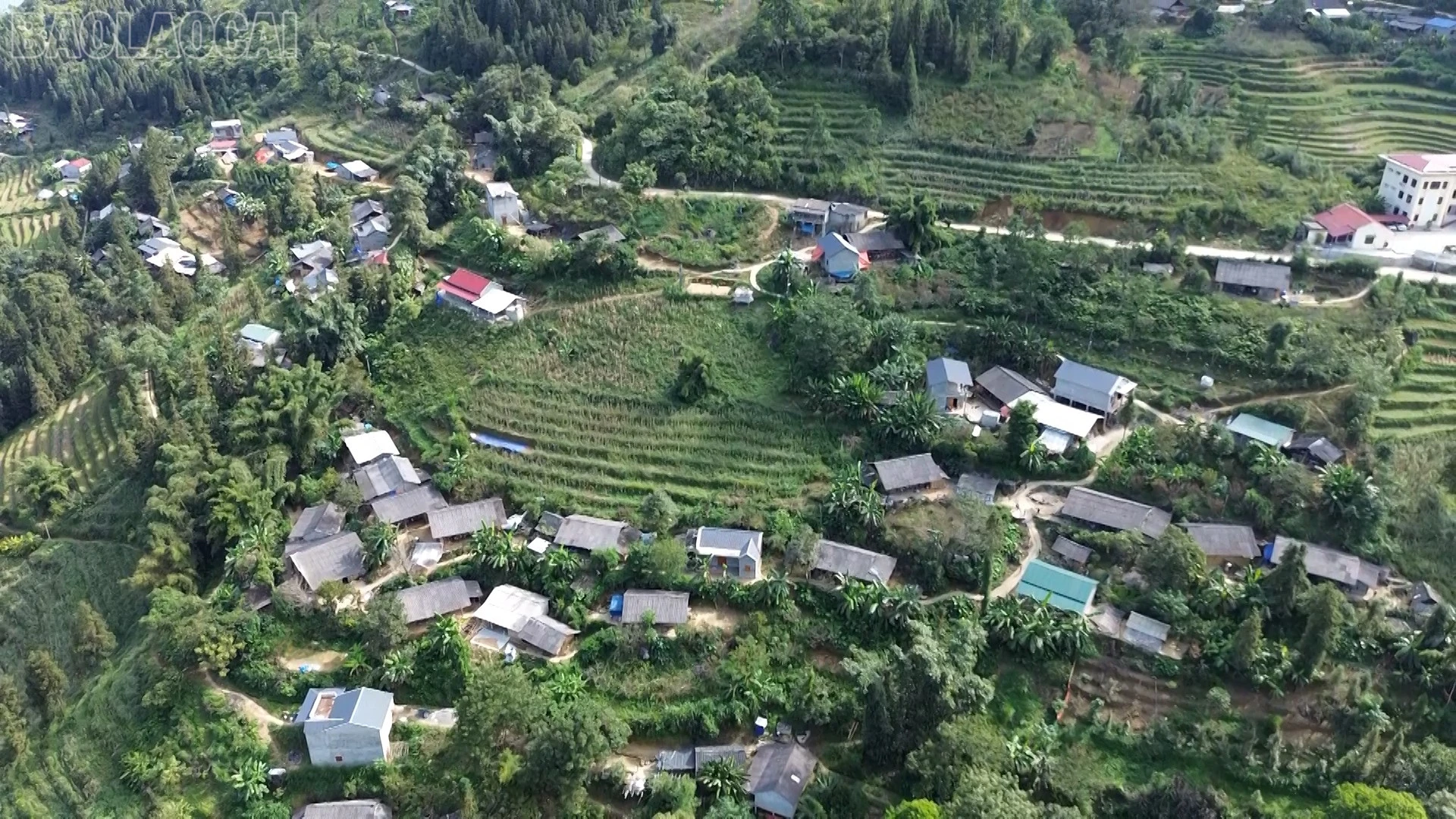 baolaocai-tl_vanh-pstl-giam-ngheo01-00-33-02still016.jpg