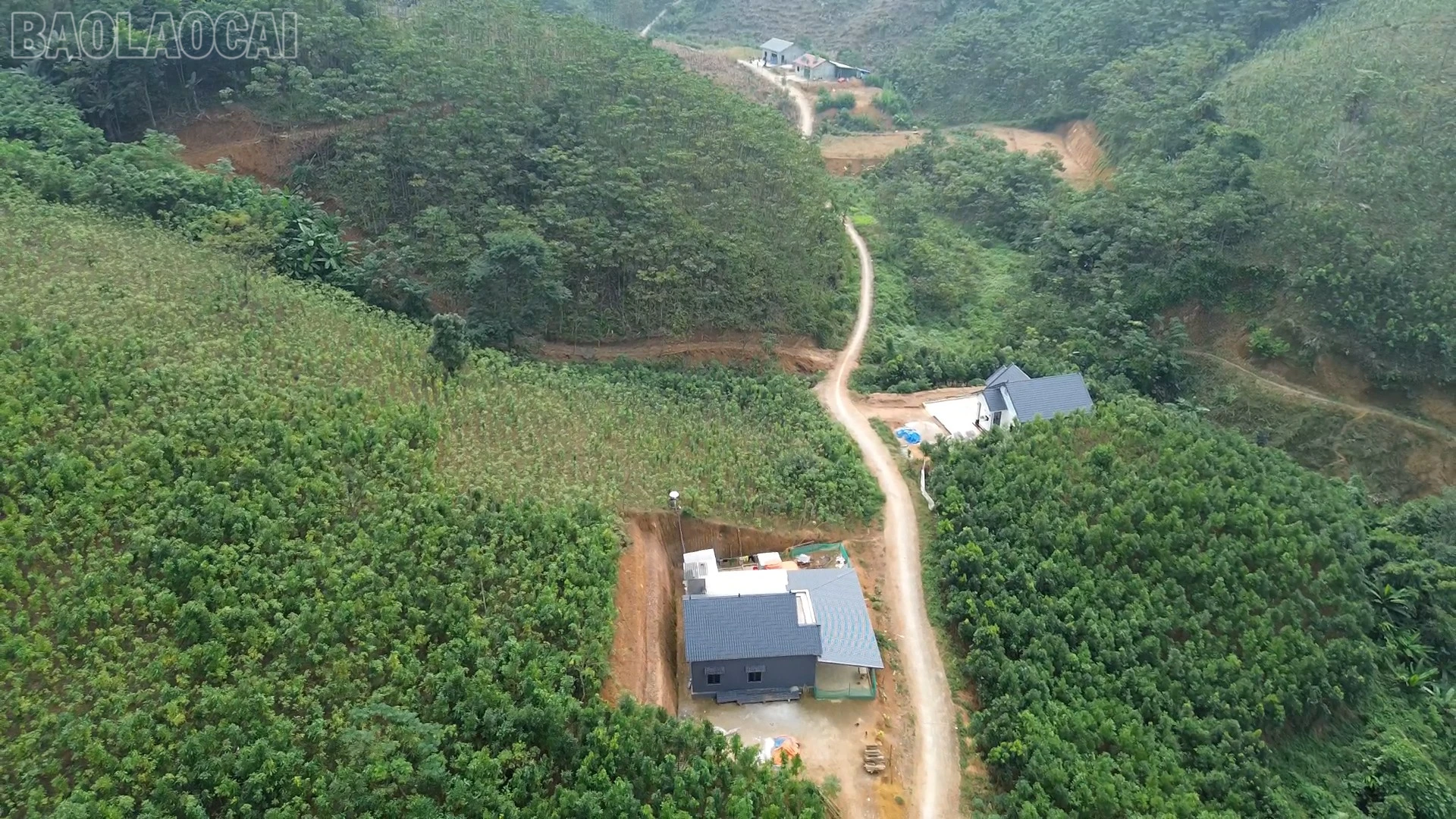baolaocai-tl_vanh-pstl-giam-ngheo01-00-05-00still005.jpg