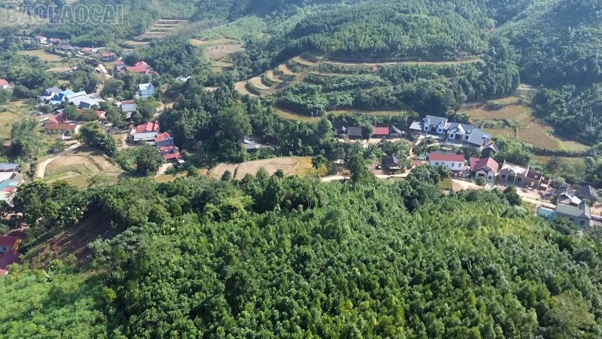 baolaocai-tl_vanh-pstl-giam-ngheo01-16-27-15still026.jpg