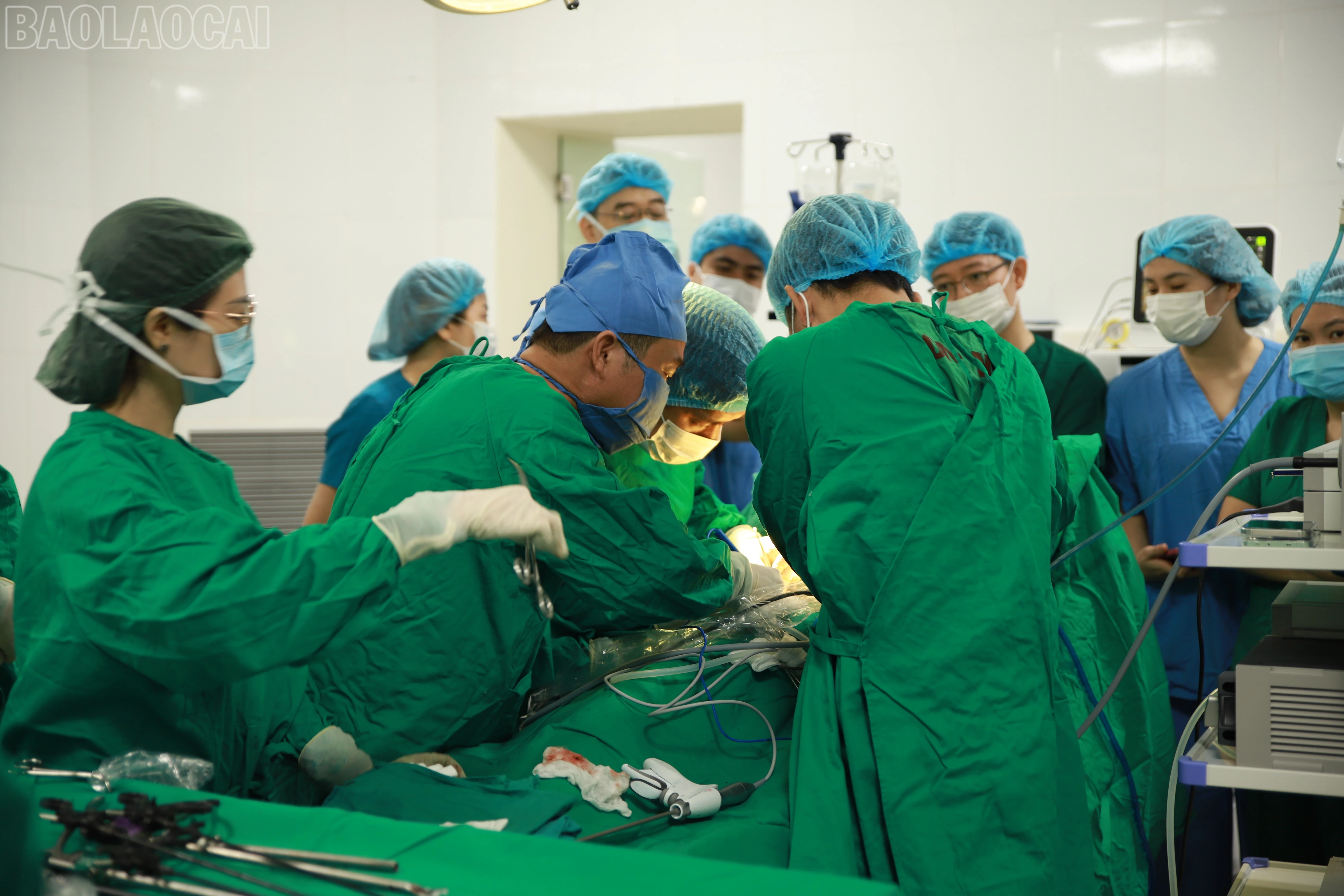 baolaocai-tl_img-0136.jpg