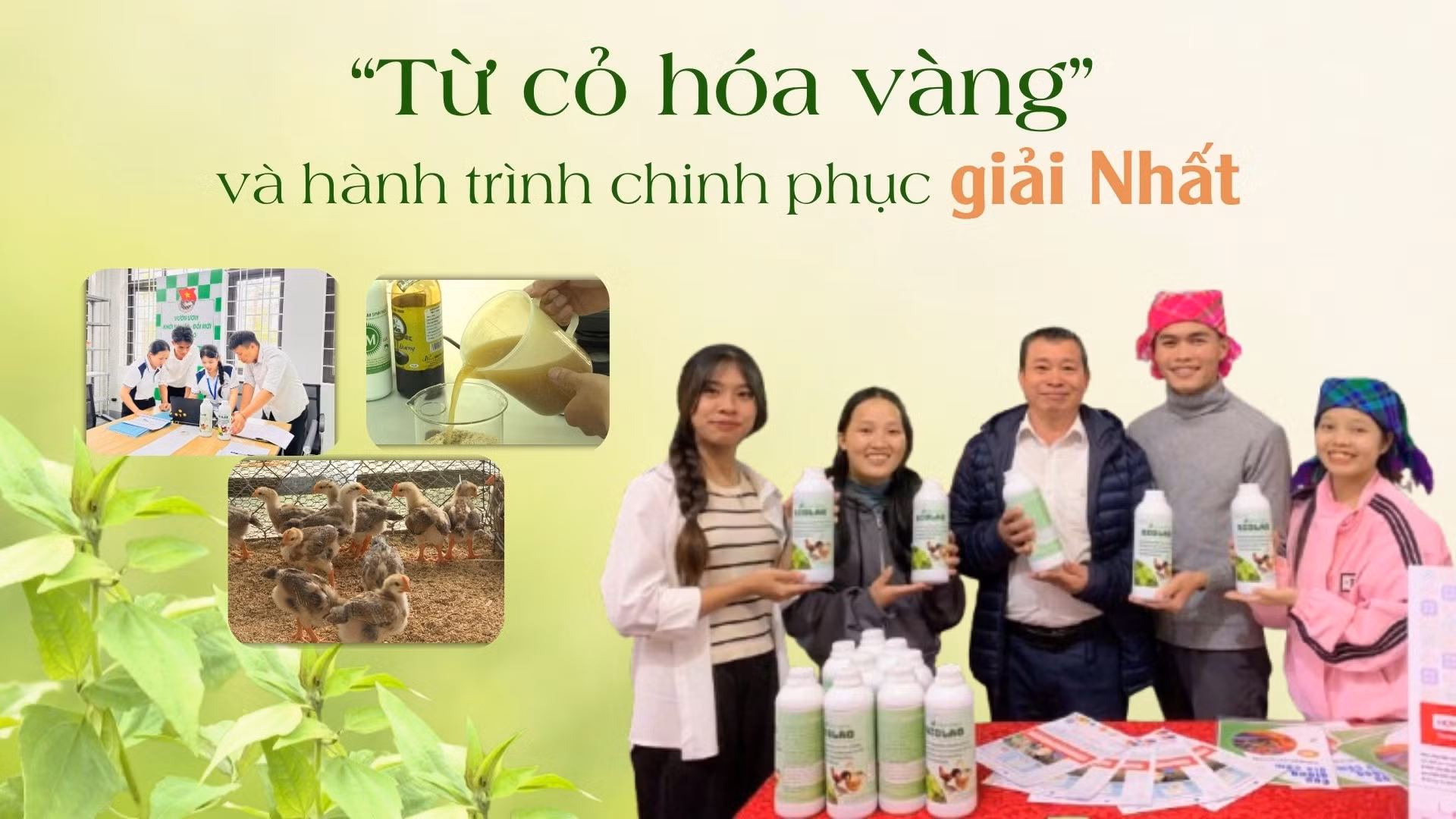 “Từ cỏ hóa vàng” và hành trình chinh phục giải Nhất