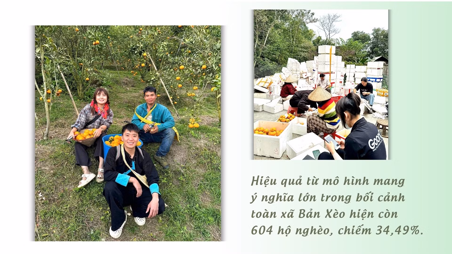 5-8680.jpg
