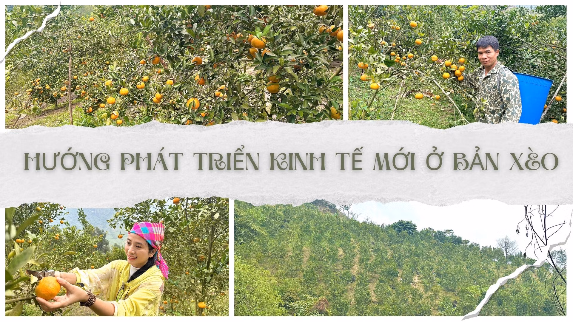 Hướng phát triển kinh tế mới ở Bản Xèo