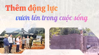 Thêm động lực vươn lên trong cuộc sống