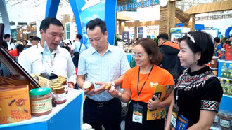 Kết nối để vươn xa