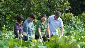 Việt Hồng đón hơn 24.000 lượt khách du lịch