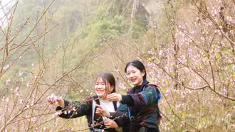 Nắng ấm Bản Giàng