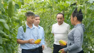 Liên Sơn cụ thể hóa nghị quyết bằng phát triển kinh tế - xã hội và xây dựng Đảng từ cơ sở