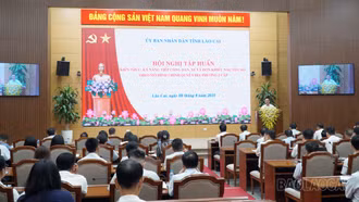 Tập huấn kiến thức, kỹ năng tiếp công dân, xử lý đơn khiếu nại, tố cáo theo mô hình chính quyền địa phương 2 cấp