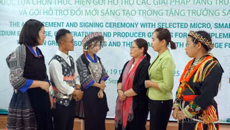 Hỗ trợ đồng bào dân tộc thiểu số phát triển nông nghiệp xanh, sạch, bền vững