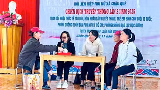 Dự án 8