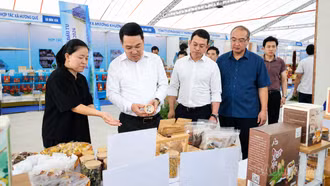 Chủ tịch UBND tỉnh Nguyễn Tuấn Anh kiểm tra công tác chuẩn bị Không gian trưng bày xúc tiến đầu tư, thương mại và du lịch tỉnh Lào Cai