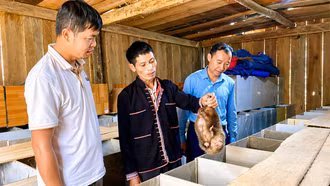 Phong Dụ Thượng khai mở tiềm năng từ nghị quyết