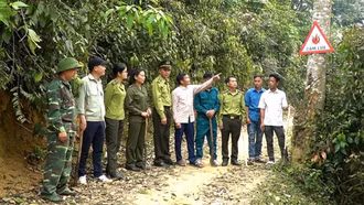 Trạm Tấu chủ động bảo vệ rừng mùa khô