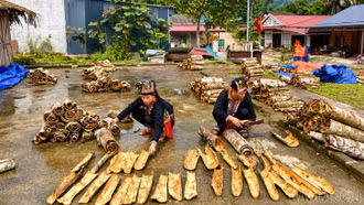 Đưa nghị quyết vào cuộc sống từ lợi thế địa phương