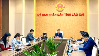 Hội nghị
