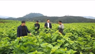 Sinh kế bền vững - trụ cột để nông thôn mới phát triển thực chất