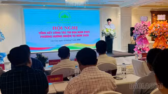 Quỹ Bảo vệ và Phát triển rừng 6 tỉnh Tây Bắc tổng kết công tác thi đua năm 2026