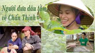 Người đưa dâu tằm về Chấn Thịnh