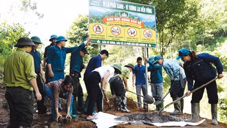 Nghĩa Tâm chủ động phòng, chống cháy rừng từ sớm, từ xa