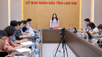 Phó Chủ tịch UBND tỉnh Vũ Thị Hiền Hạnh làm việc với Sở Y tế về tiến độ triển khai Hồ sơ bệnh án điện tử và tháo gỡ những khó khăn, vướng mắc về công tác y tế sau khi hợp nhất 