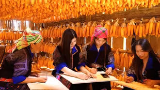 Nhà ngô
