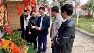 Lào Cai kiểm tra công tác quản lý, tổ chức lễ hội năm 2026