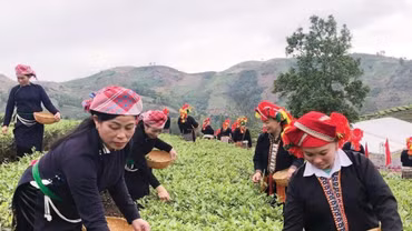 Lào Cai: Từ chính sách đến cuộc sống – Những đổi thay ở vùng đồng bào dân tộc thiểu số