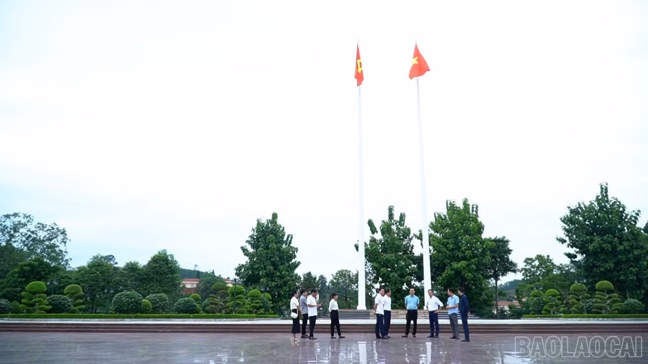 baolaocai-br_khao-sat-yb-3090.jpg
