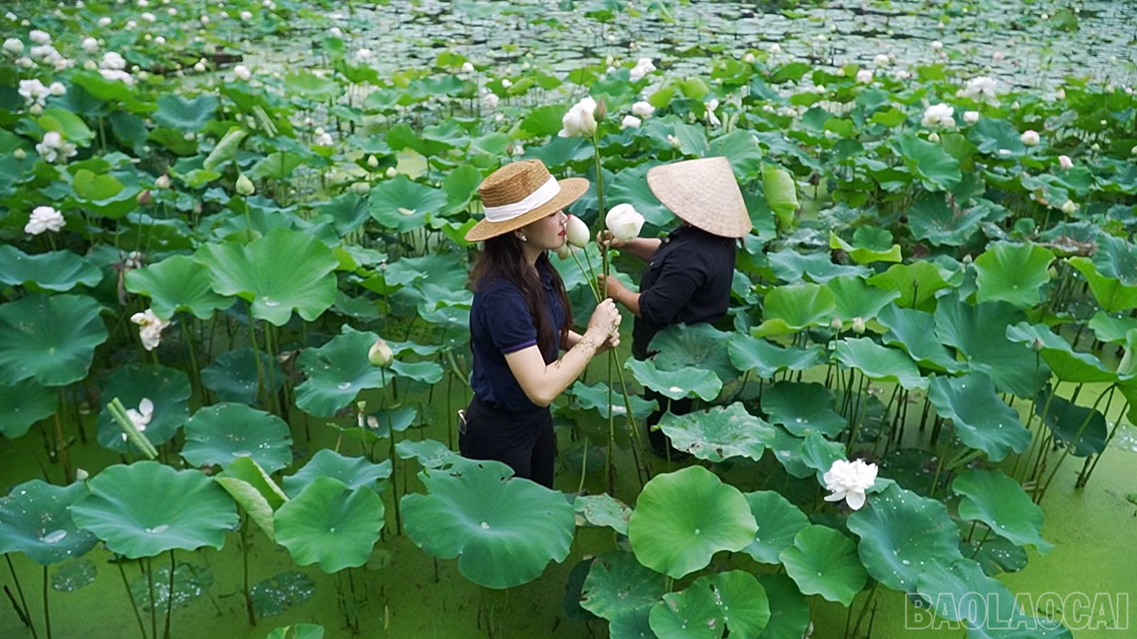baolaocai-br_490-577400-19-40-16still087.jpg