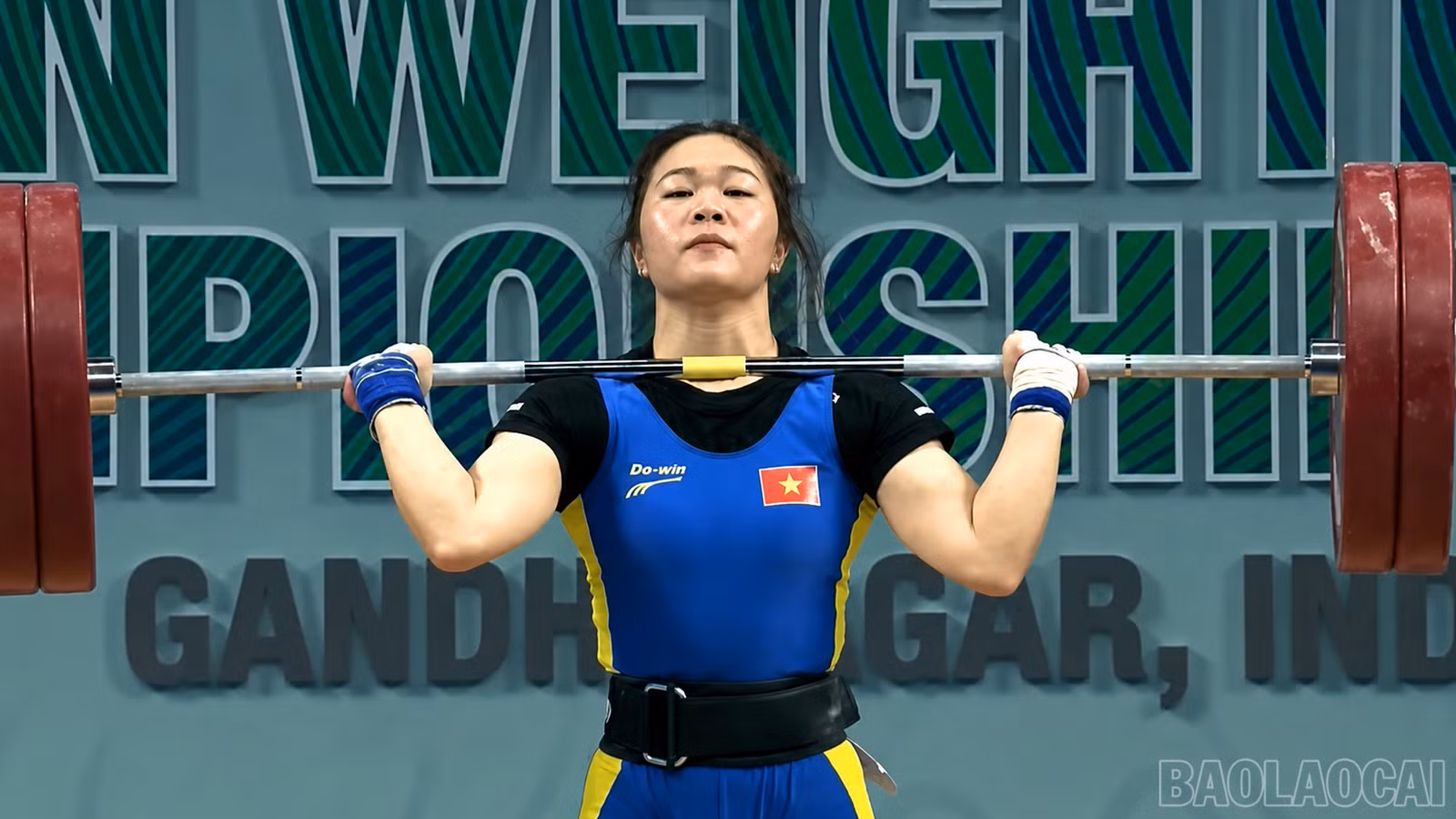 baolaocai-br_chatgpt-image-23-18-07-13-thg-5-2026.png