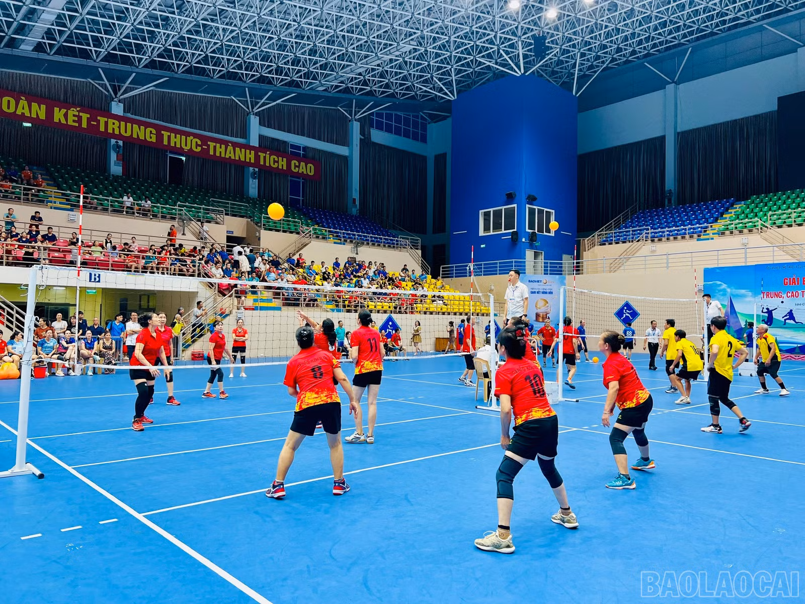 baolaocai-br_z6608874418656-5eabb1699fc0b24ae0948ffeee64ccfe.jpg