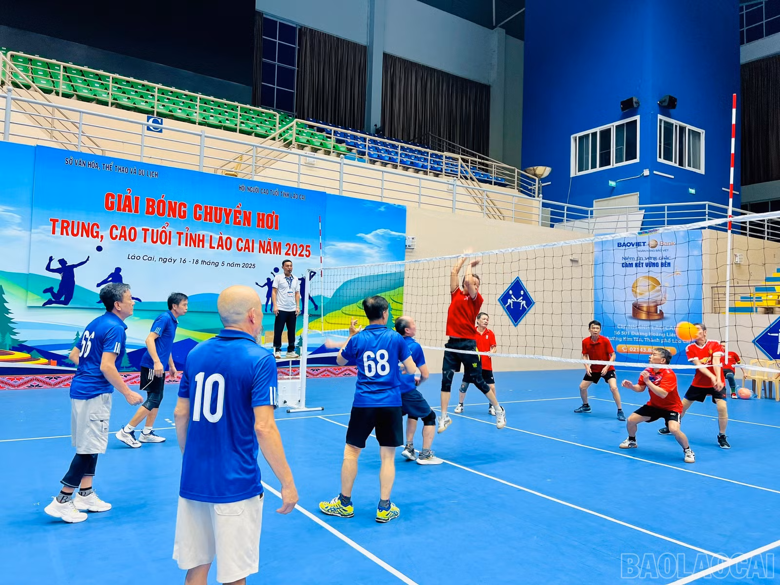 baolaocai-br_z6608874378028-732baf84714ffd51df92a7eec36dc705.jpg